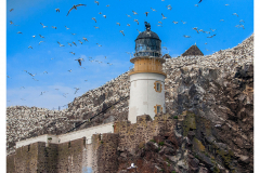 Lighthouse -  Bass Rock