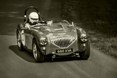 Austin Healy 100M